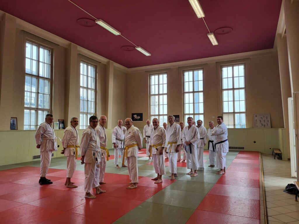 Karate senioren gruppen bild